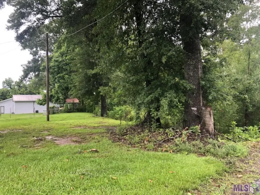3638 Oakland Rd, Lakeland, LA 70752 - #2