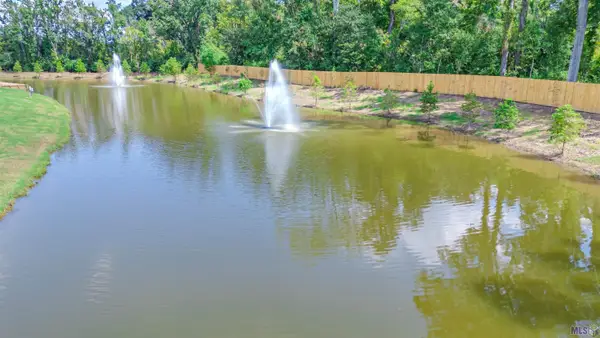 1744 Tiger Crossing Dr, St. George, LA 70810