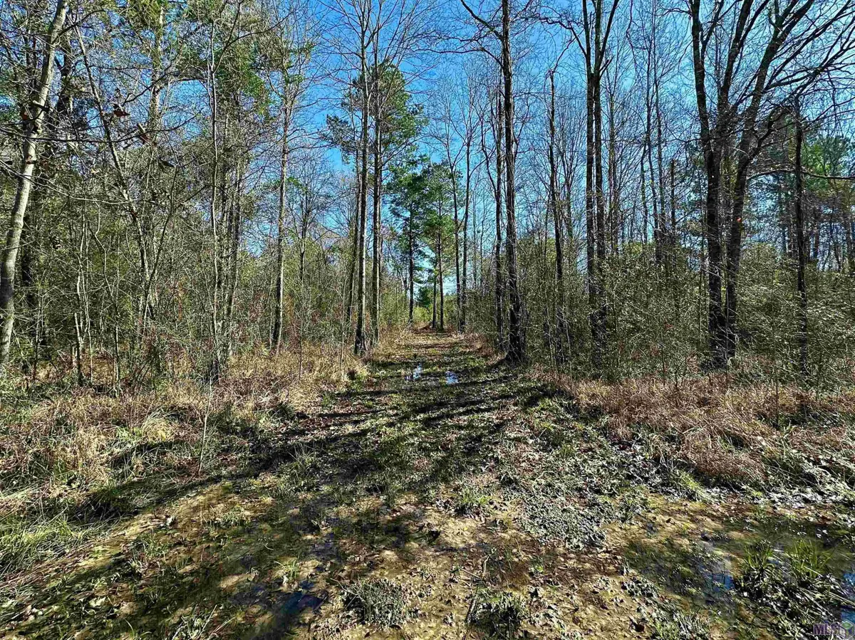 D-4-A Stella Ln, Walker, LA 70785 - #1