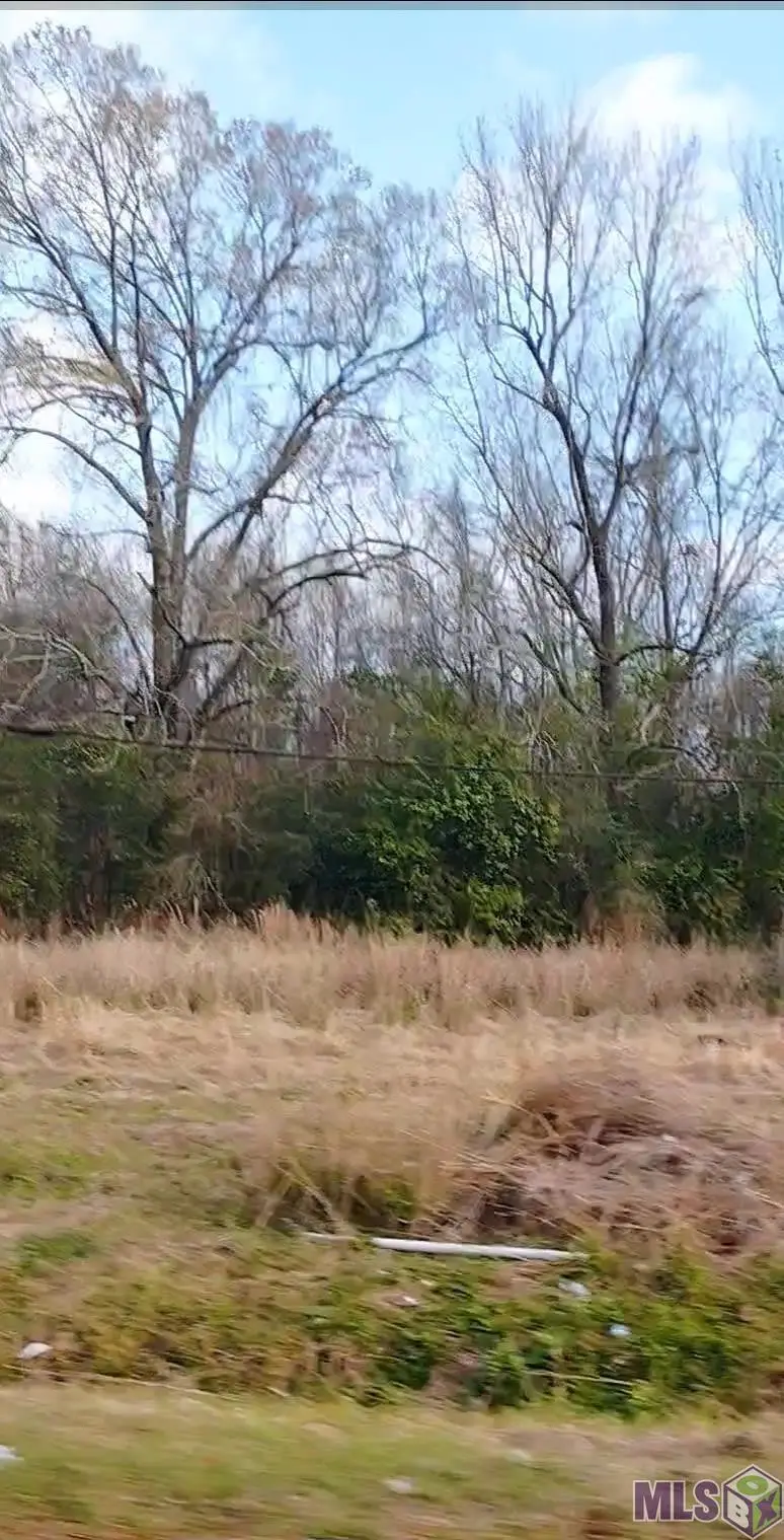 Lot 36 A&B El Scott Ave, Baton Rouge, LA 70811 - #1