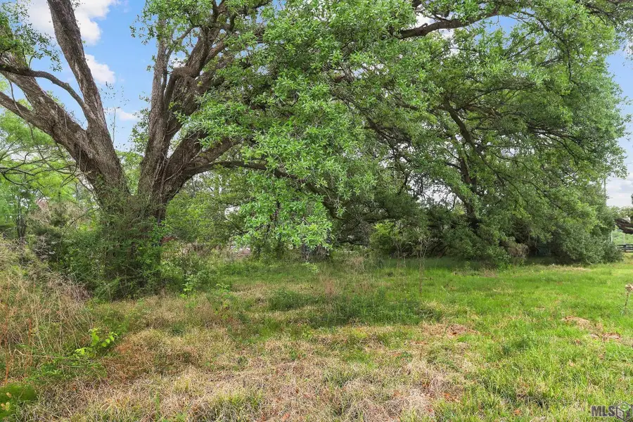 15475 Greenwell Springs Rd, Central, LA 70739 - #2