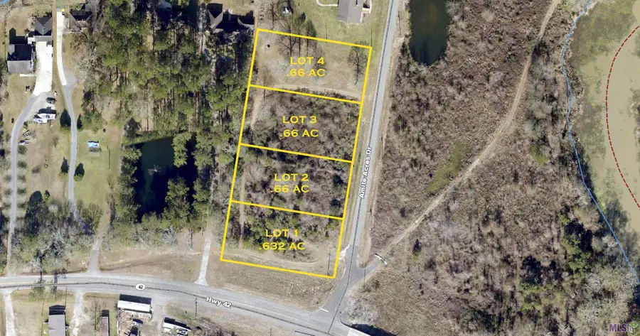18371 Amite Acres Dr, Prairieville, LA 70769 - #2