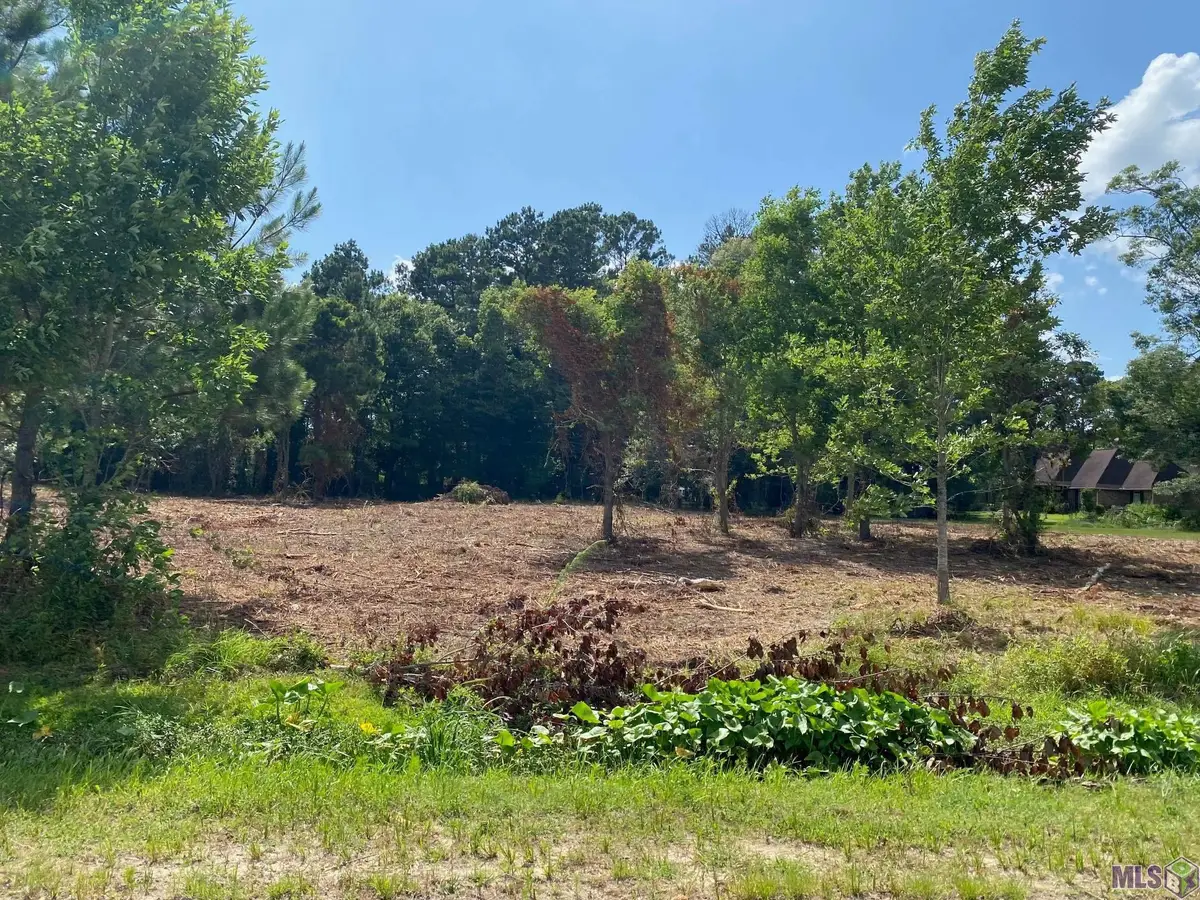 18383 Amite Acres Dr, Prairieville, LA 70769 - #1
