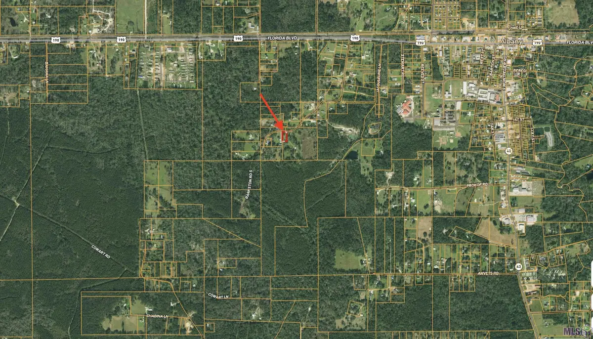 TBD S Bankston Rd, Albany, LA 70711 - #1