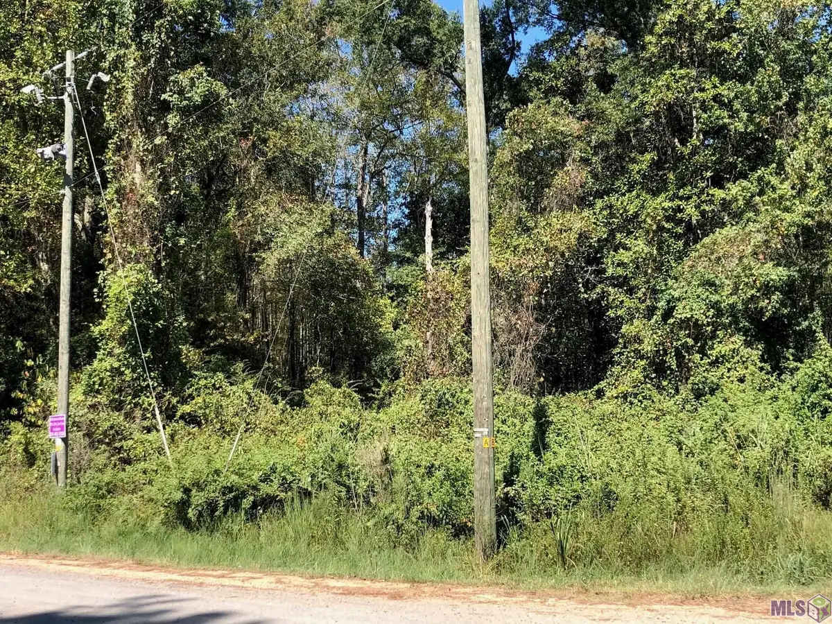 Idlewild Rd, Clinton, LA 70722 - #1