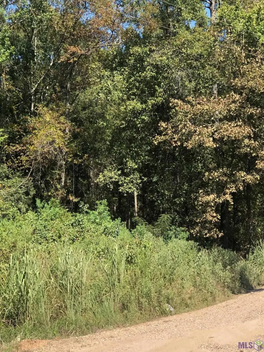 Idlewild Rd, Clinton, LA 70722 - #3