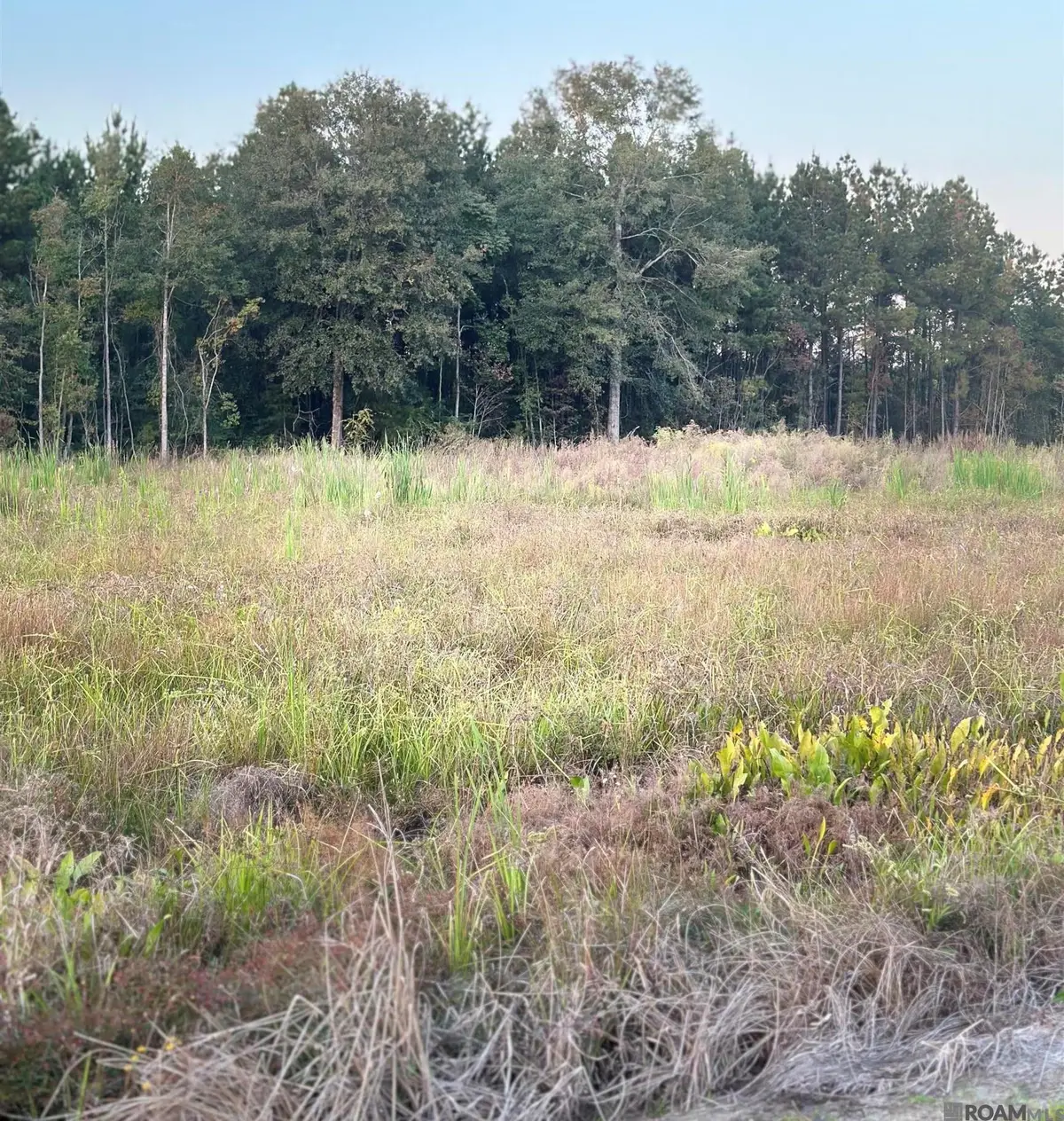 16489 Peacock Drive, Walker, LA 70785 - #1