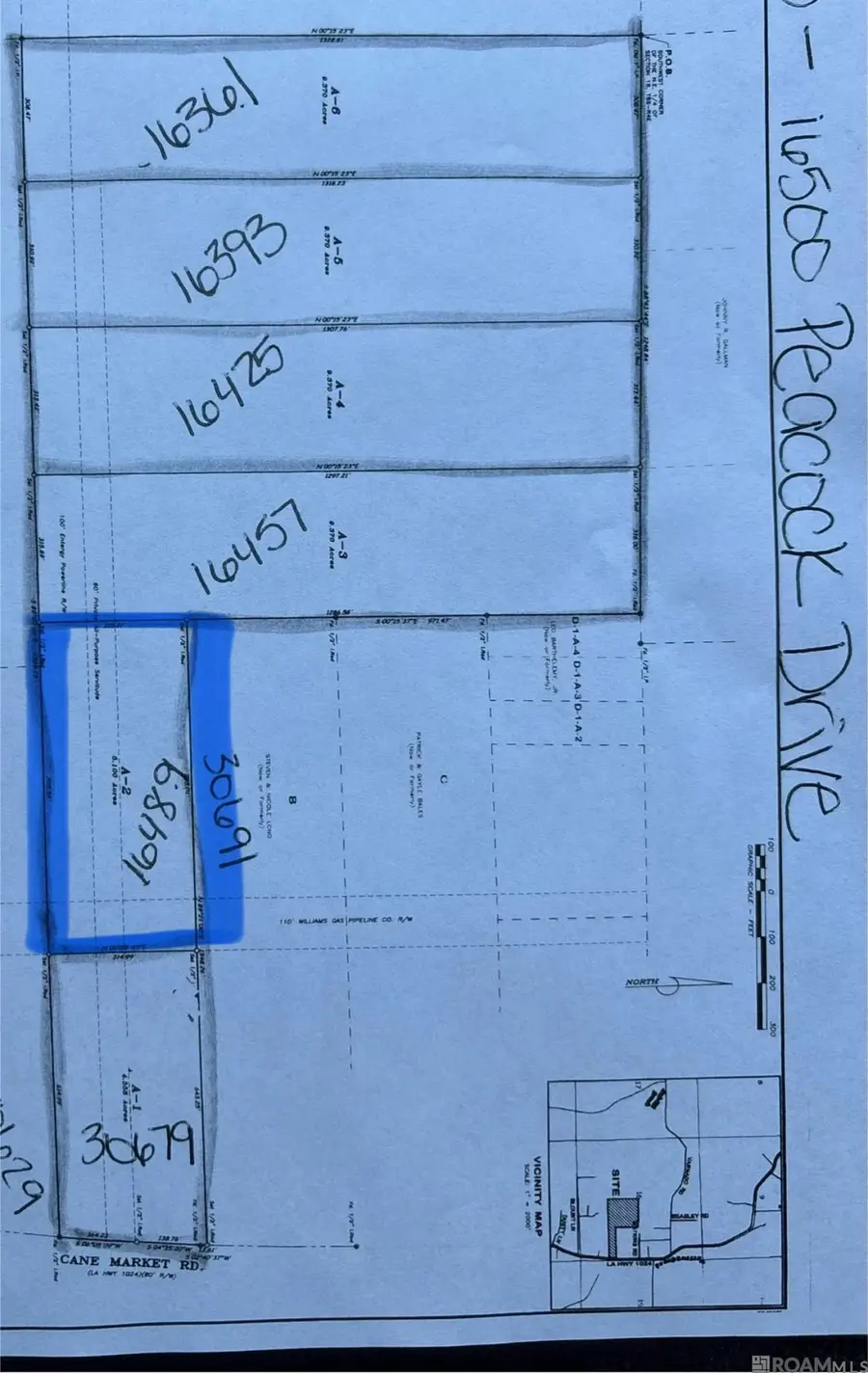 16489 Peacock Drive, Walker, LA 70785 - #2