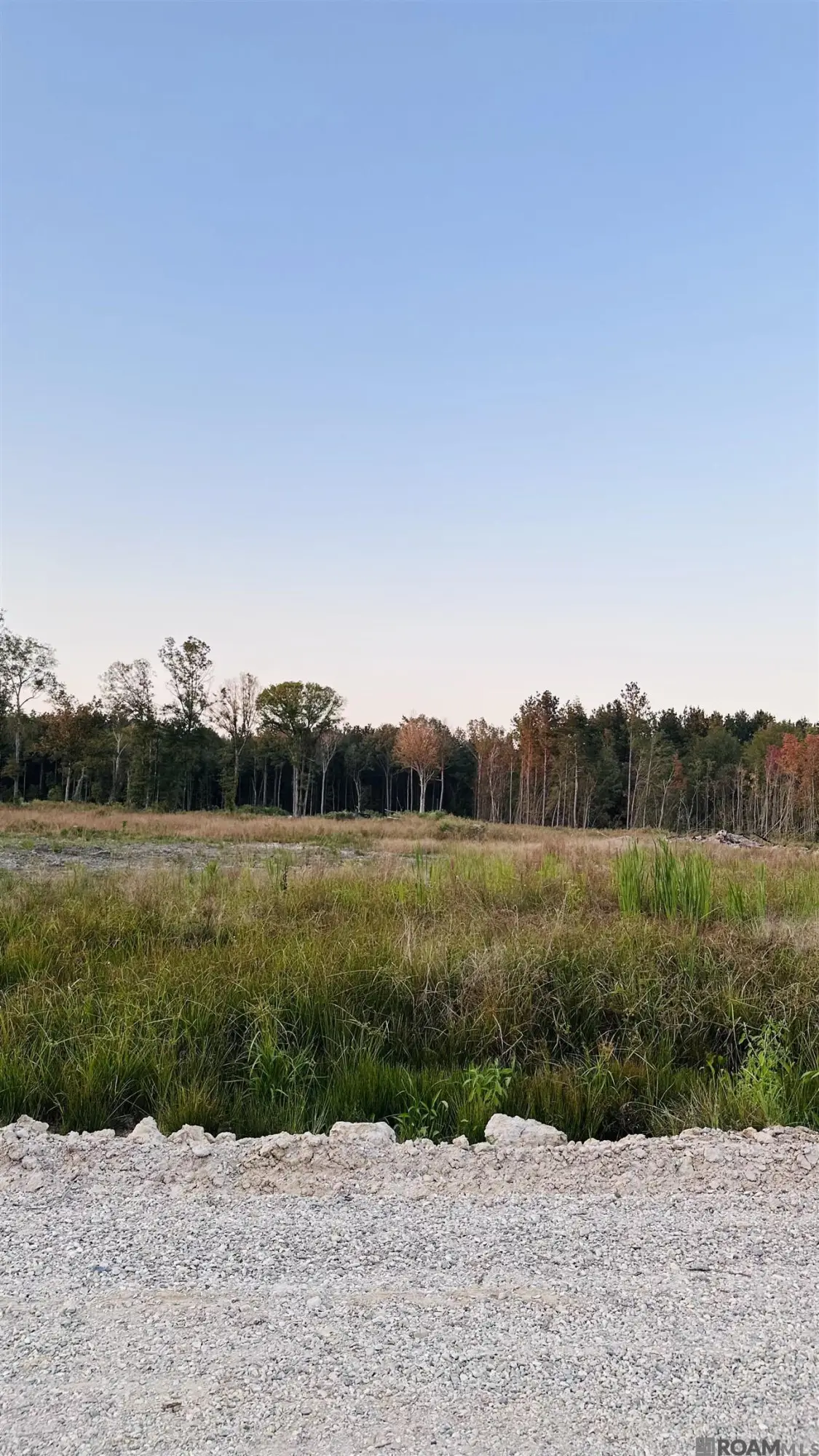 16457 Peacock Drive, Walker, LA 70785 - #1