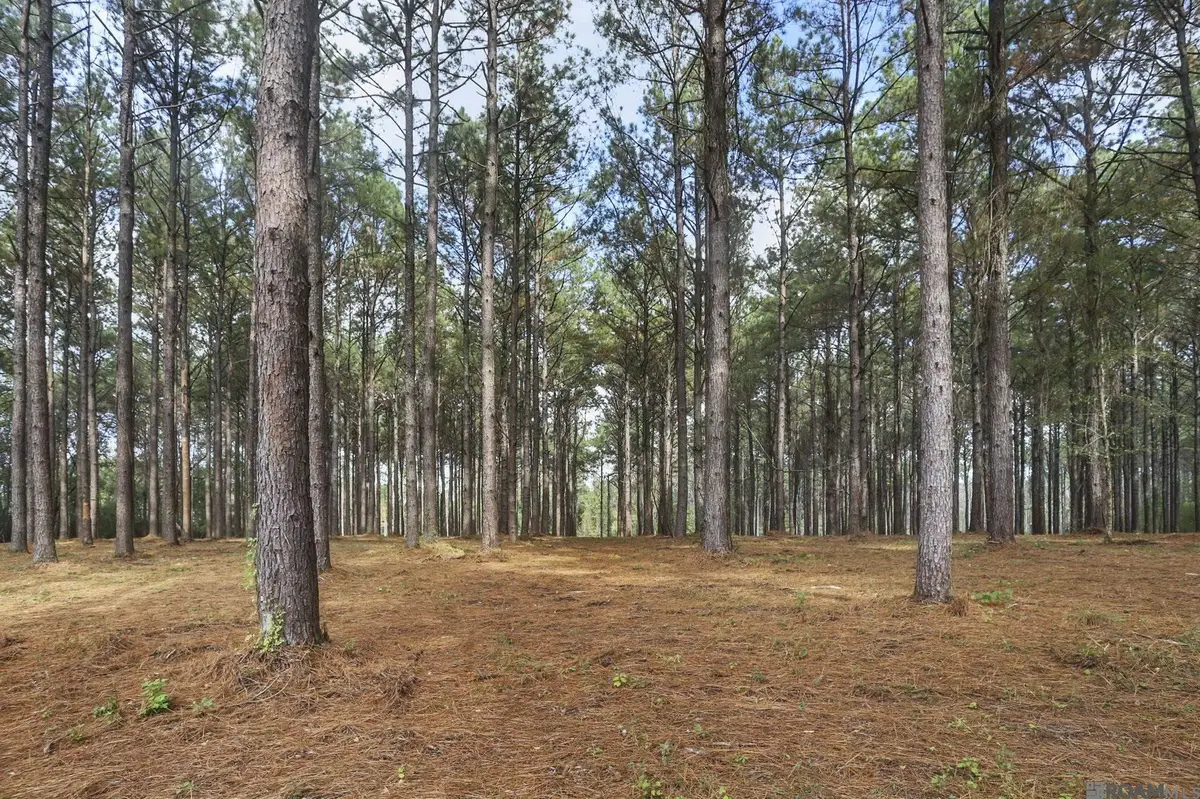 80114 Rosemary Lane, Saint Francisville, LA 70775 - #1