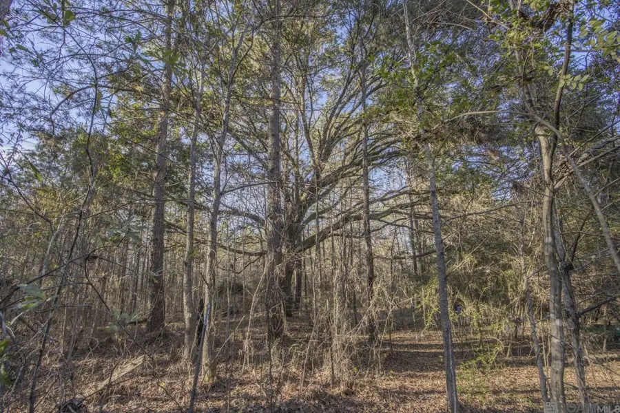 TBD La Hwy 967, Saint Francisville, LA 70775 - #2