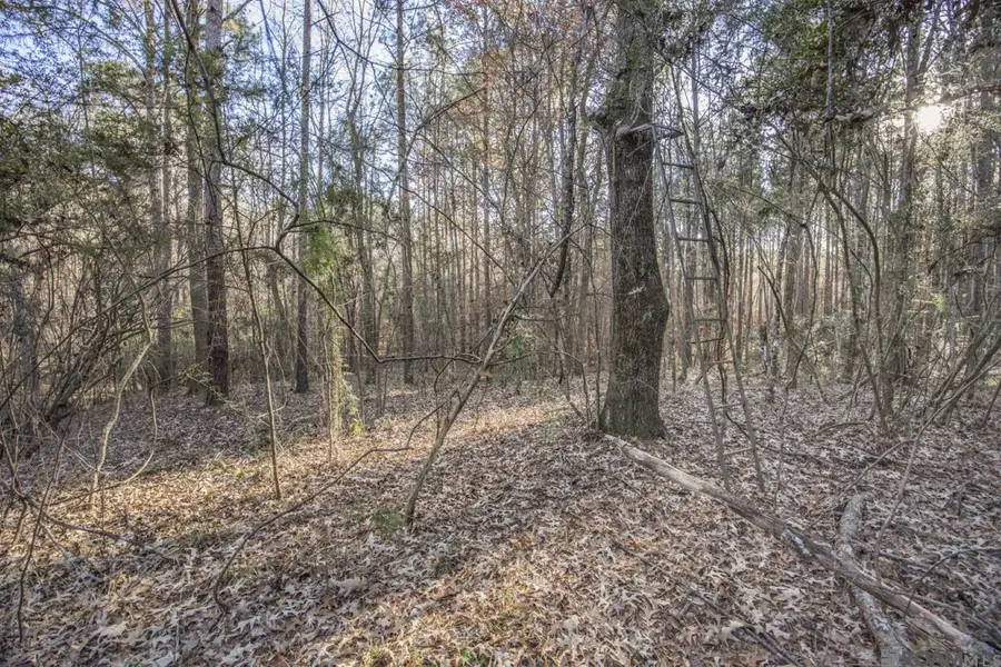 TBD La Hwy 967, Saint Francisville, LA 70775 - #3