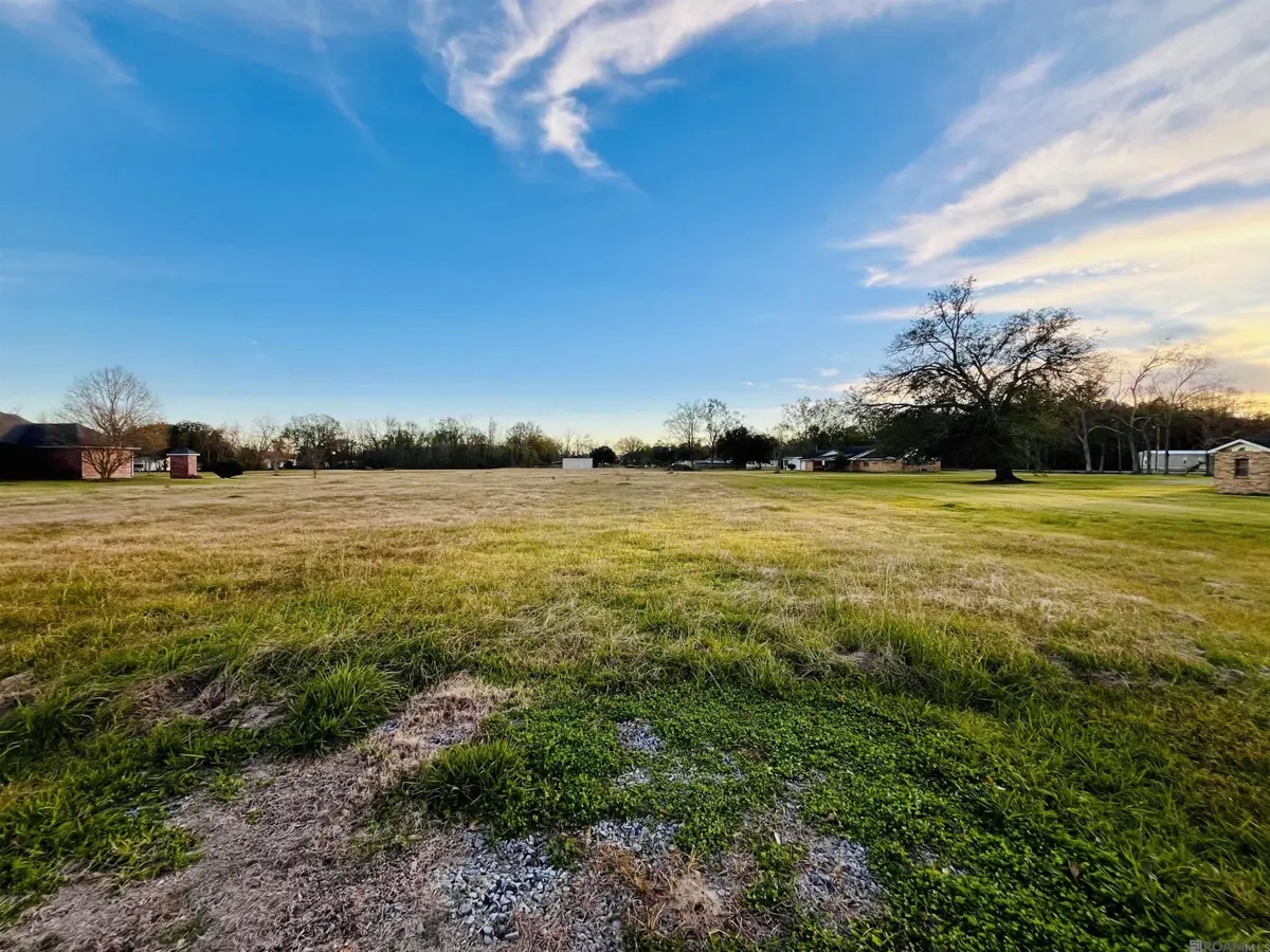 Lot C-3-A Taylor Sheets Rd, Saint Amant, LA 70774 - #1