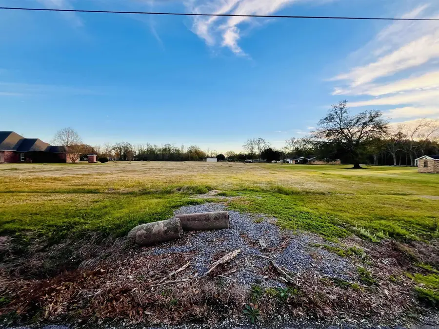 Lot C-3-A Taylor Sheets Rd, Saint Amant, LA 70774 - #3