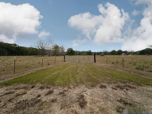 45538 Doc Ln, St. Amant, LA 70774