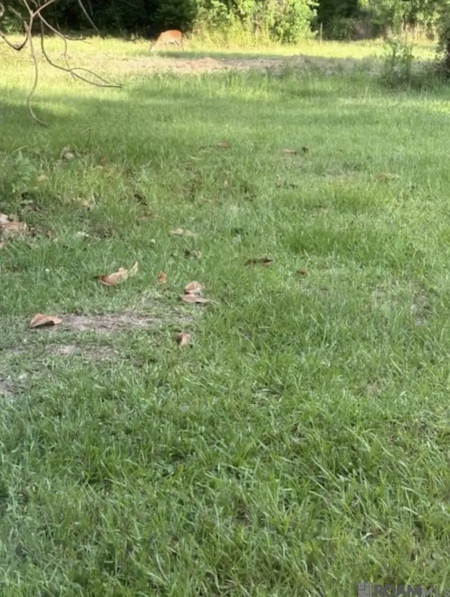 TBD La Hwy 22, Springfield, LA 70462 - #3