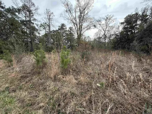 26126 Cloverland Road, Lacombe, LA 70445