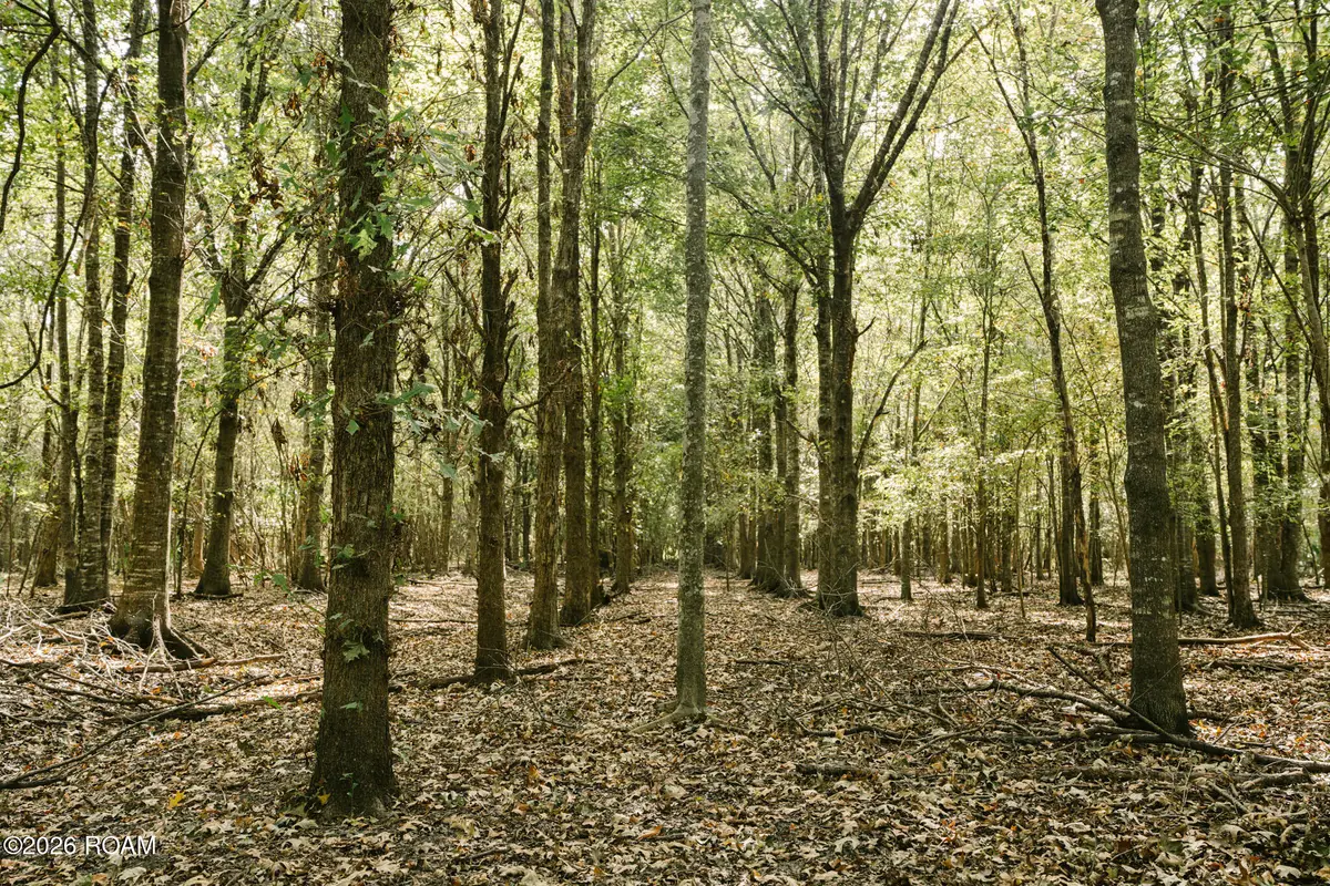 Greenwood Plant NE Greenwood Plantation Rd, Thibodaux, LA 70301 - #1