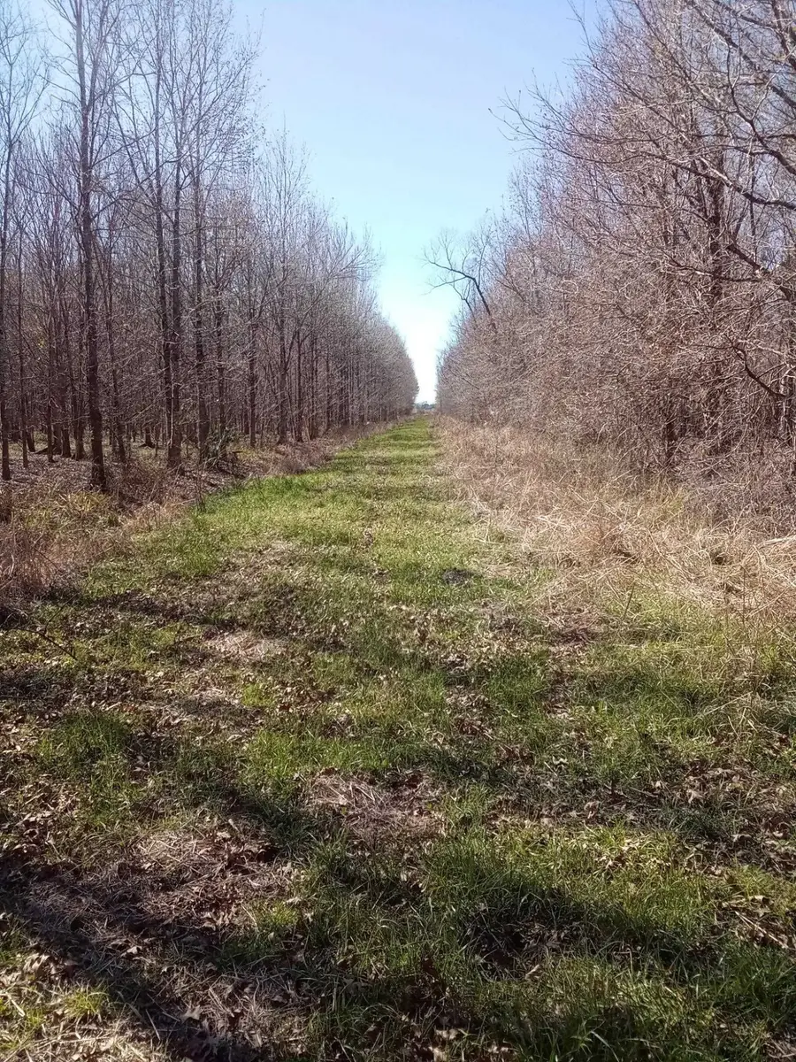 Greenwood Plant NE Greenwood Plantation Rd, Thibodaux, LA 70301 - #2
