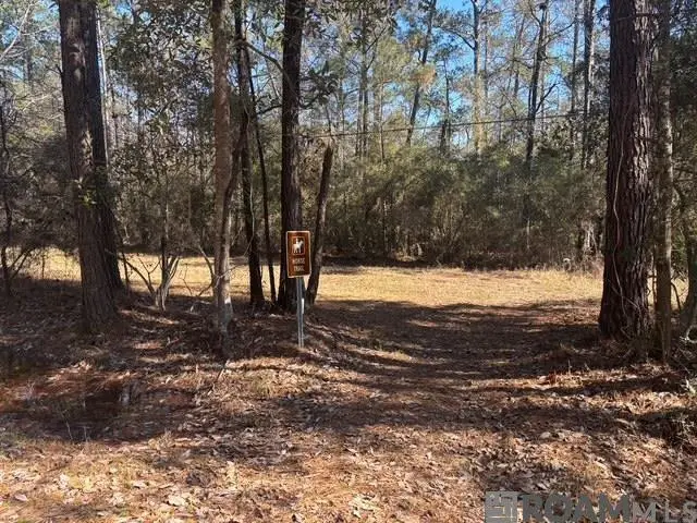 Lots 33 & 35 Labarre, Mandeville, LA 70448 - #1
