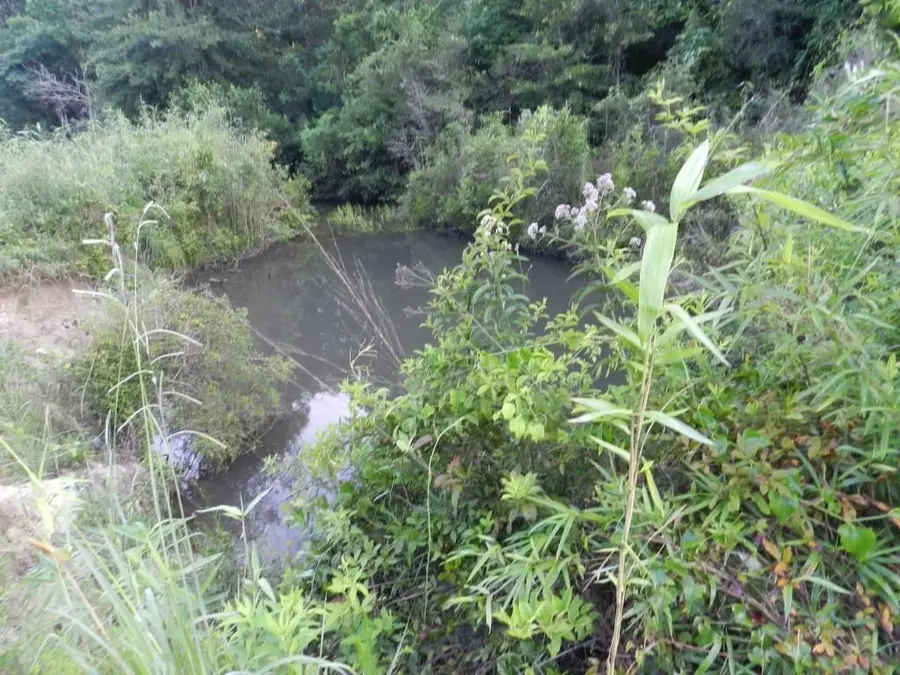 Address Withheld By Seller, Bush, LA 70431 - #2