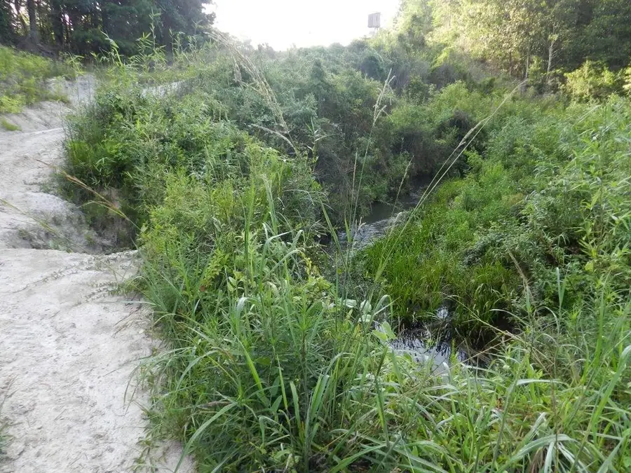 Address Withheld By Seller, Bush, LA 70431 - #3