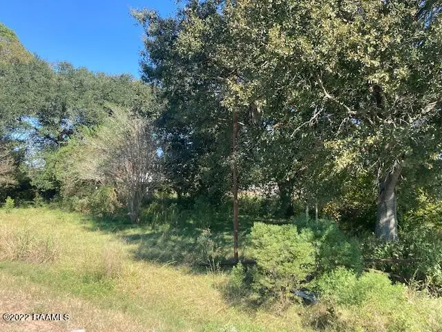 0 Hwy 190, Eunice, LA 70535 - #3