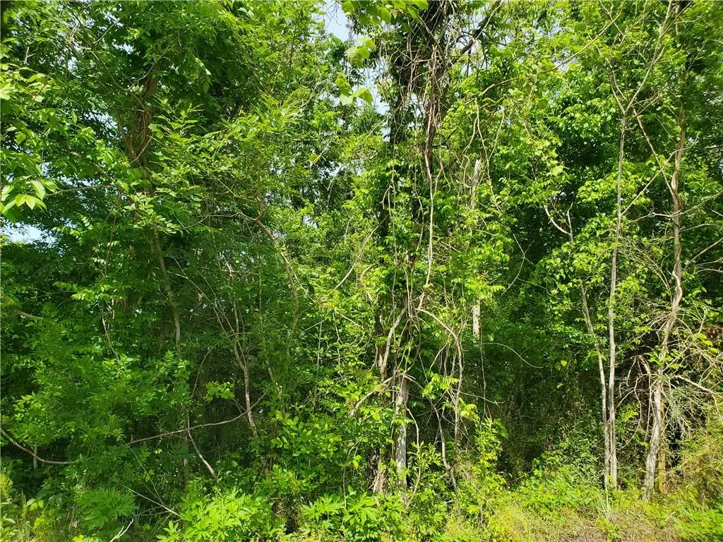 10860 Willow Drive, New Orleans, LA 70131 - Image #1