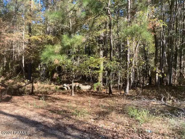 Landry Lane, Eunice, LA 70535 - #1