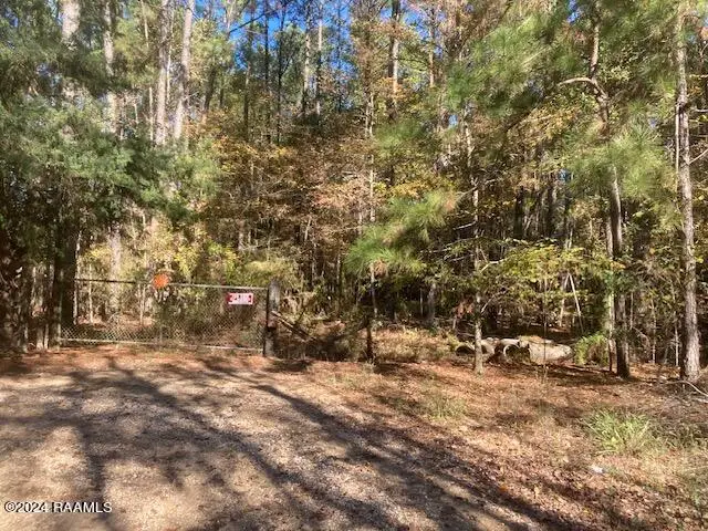 Landry Lane, Eunice, LA 70535 - #2