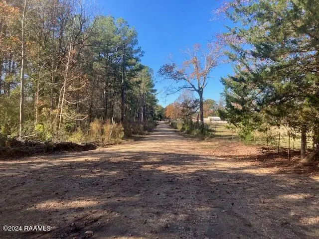 Landry Lane, Eunice, LA 70535 - #3