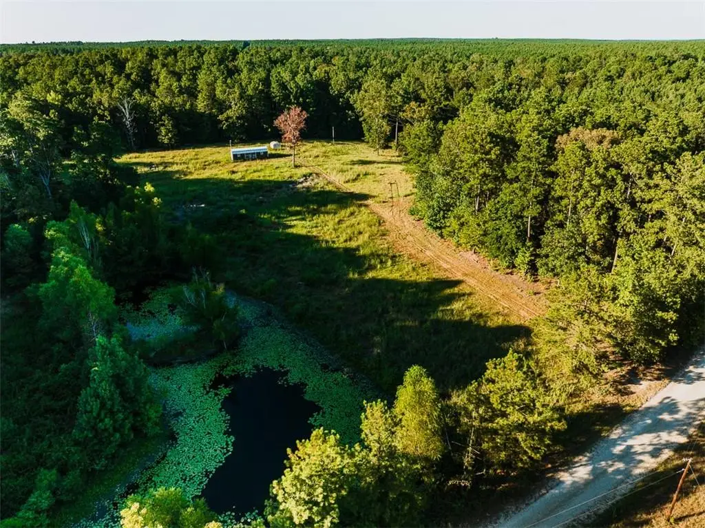 141 Buford Lashley Road, Atlanta, LA 71404 - #1