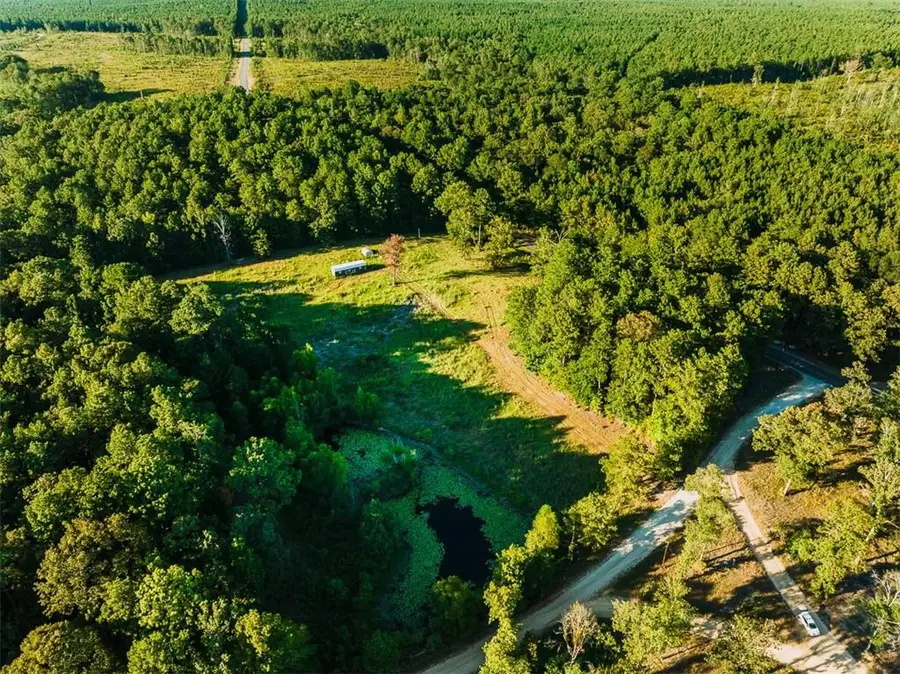 141 Buford Lashley Road, Atlanta, LA 71404 - #3