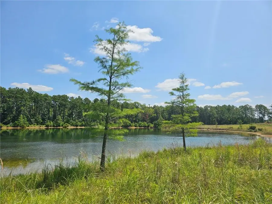 0 Alexandria Highway, Leesville, LA 71446 - #2