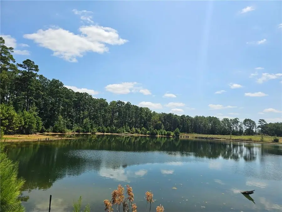 0 Alexandria Highway, Leesville, LA 71446 - #3