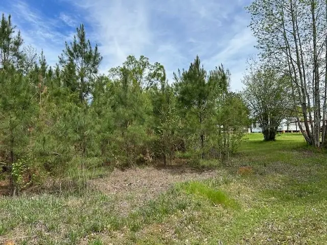 0 Beeson Drive, Ball, LA 71405 - #1