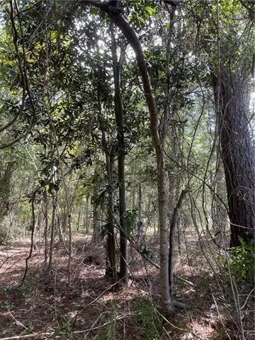 #2