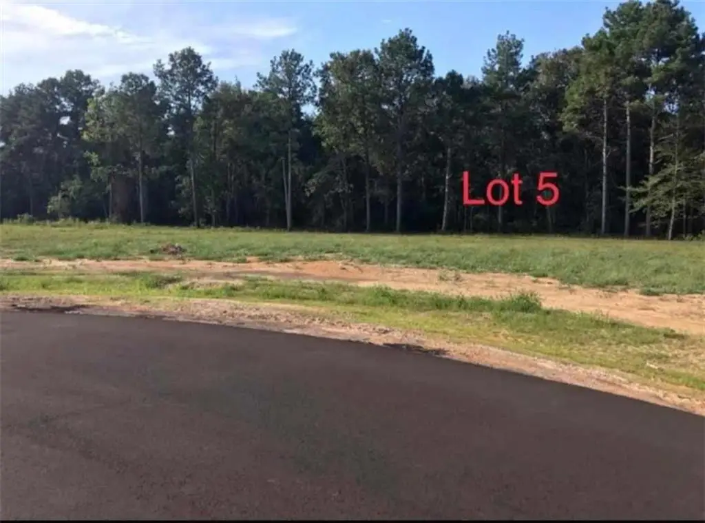LOT 5 Theo Drive, Deville, LA 71328 - Image #1