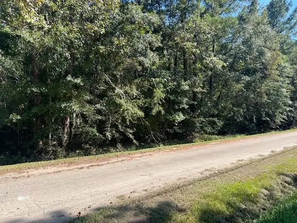 Mcmanus Road, Slidell, LA 70461