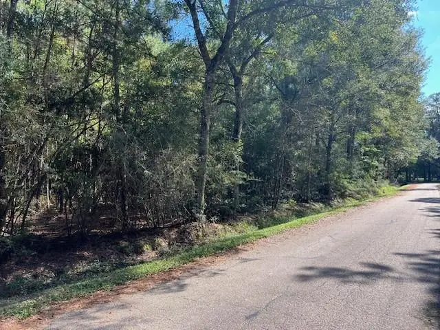 Mcmanus Road, Slidell, LA 70461 - Image #2