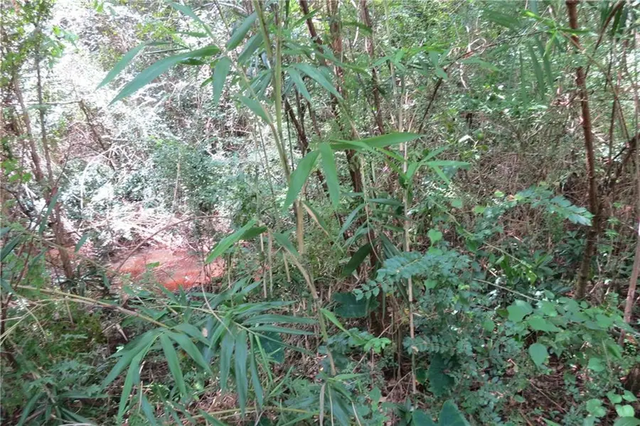 St John Street, Abita Springs, LA 70420 - Image #2