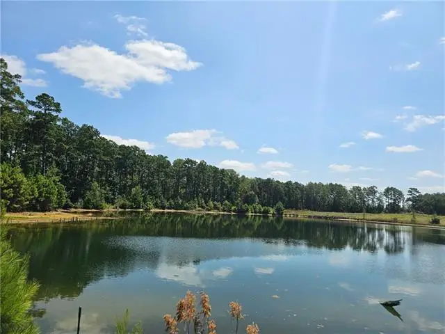 0 Alexandria Highway, Leesville, LA 71446 - #3