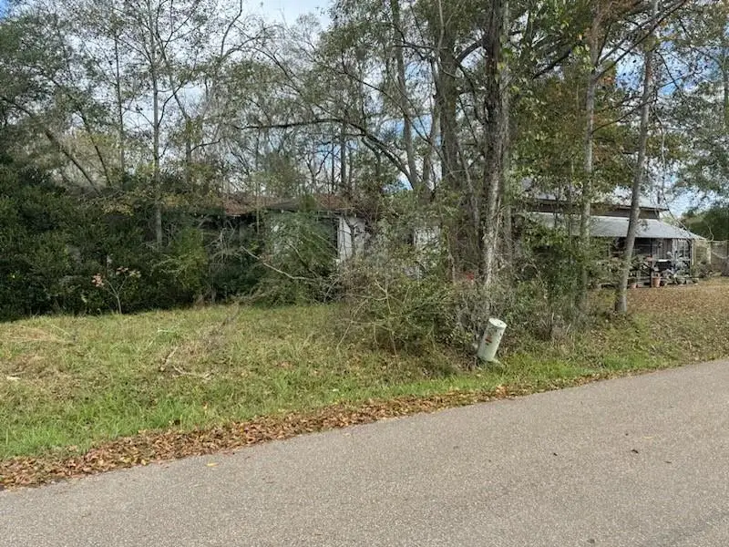 12619 North Avenue, Roseland, LA 70456 - Image #1