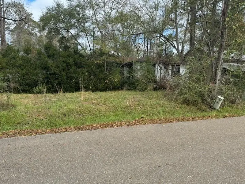 12619 North Avenue, Roseland, LA 70456 - Image #2