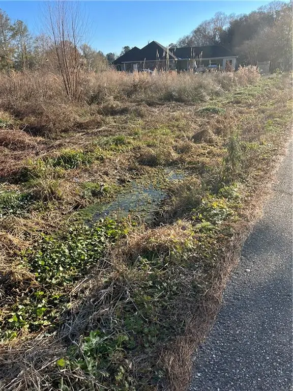 33870 Perkins Crossing Road, Walker, LA 70785 - Image #2