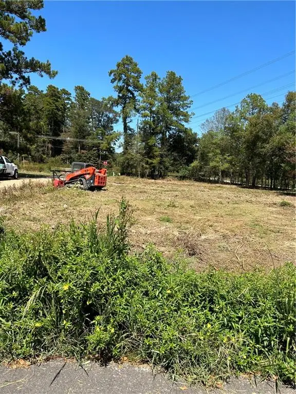 33870 Perkins Crossing Road, Walker, LA 70785 - Image #3