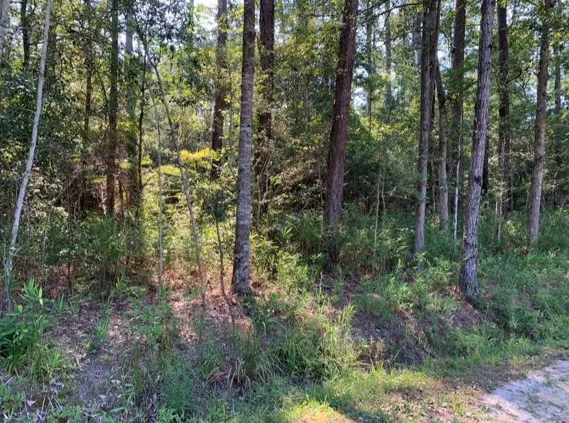 Tee Street, Abita Springs, LA 70420 - Image #3