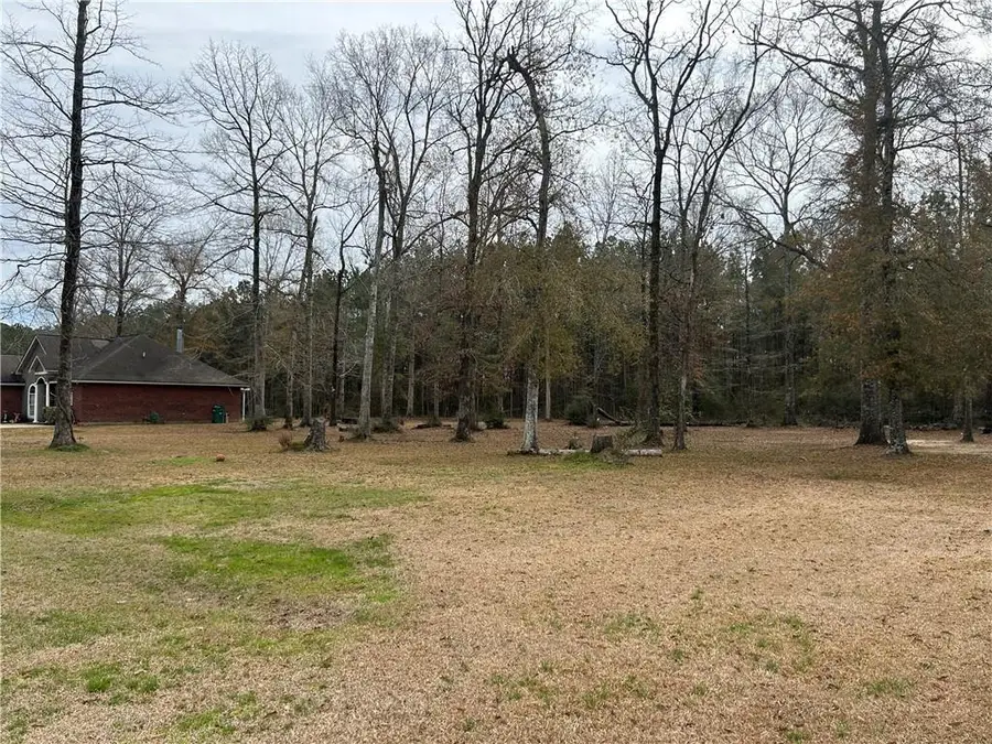 27720 Ivy Springs Drive, Independence, LA 70443 - Image #2