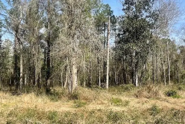 Lot 306 D 190 Highway, Lacombe, LA 70445 - #1