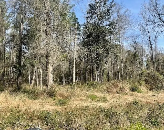 Lot 306 D 190 Highway, Lacombe, LA 70445 - #2